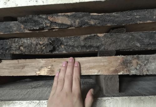 白楊木板烘干工藝詳解 烘烤大師的親身實踐分享