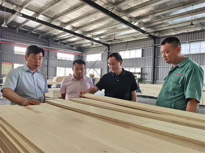 攜手共進，共筑未來——熱烈歡迎中國木材保護工業協會會長劉能文一行蒞臨福慶參觀考察指導