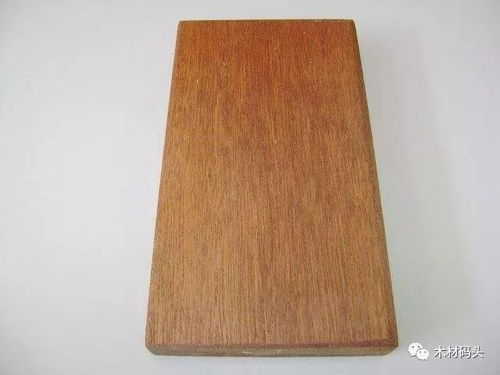 年末臨近，探析木材市場 供需動態、價格走勢與未來展望