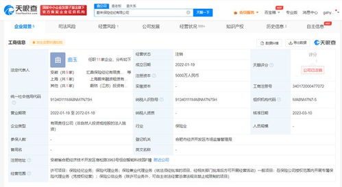 蔚來保險(xiǎn)經(jīng)紀(jì)公司注銷，聚焦主業(yè)還是戰(zhàn)略調(diào)整？